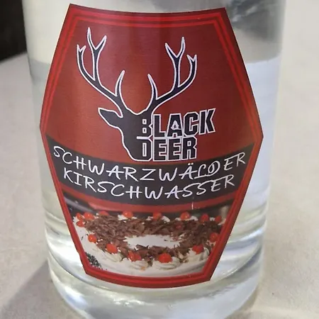 Zum Gscheiten Beck Mit Garten Daire Feldberg (Baden-Wurttemberg)