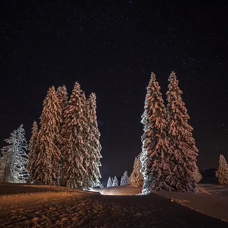 Zum Gscheiten Beck Mit Garten Lejlighed *