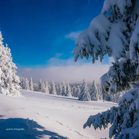 Zum Gscheiten Beck Mit Garten *