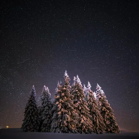 Lejlighed Zum Gscheiten Beck Mit Garten Feldberg (Baden-Wurttemberg)